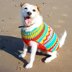 Festive Bauble Dog Jumper