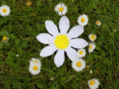 Daisy flower brooch