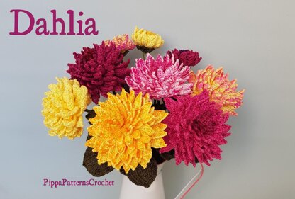 Dahlia