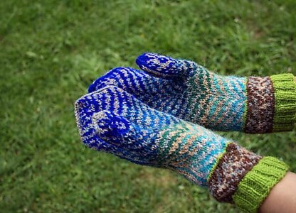 Peacock Feather Mittens