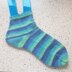 Whinfell Socks