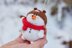 Knitted snowman in Teddy bear hat.