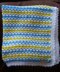 Seattle Stripes Baby Blanket