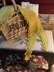 Helleborus crocheted shawl