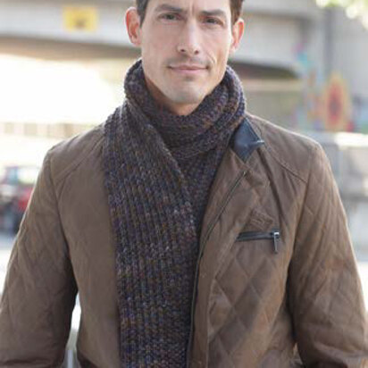 Men's Interchangeable Scarves in Caron Simply Soft, Simply Soft Heathers and Simply Soft Paints - Downloadable PDF