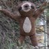 Sloth Toy