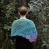 Spring Meadows Shawl