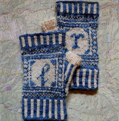 My Sense of Direction Mitts