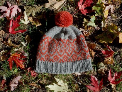 Aspis Hat