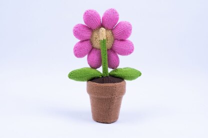 Flower in a Pot in Deramores Studio DK  - Downloadable PDF