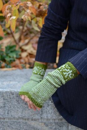 NYBG Mitts
