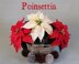 Poinsettia