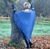 Blue Wings Poncho