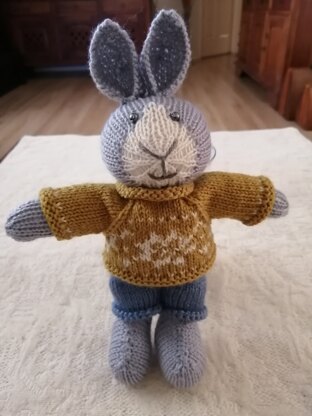 Grey Boy Bunny