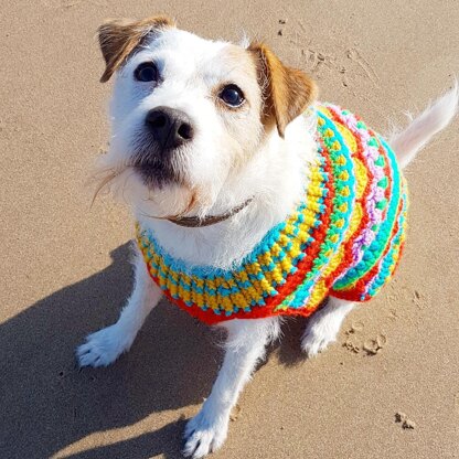 Festive Bauble Dog Jumper