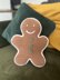 Gingerbread Cushion