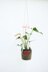 Perennial Plant Hanger