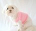 P01 Fancy Dog Sweater