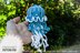 Blue Jellyfish toy