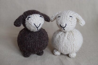 Sweet Sheep