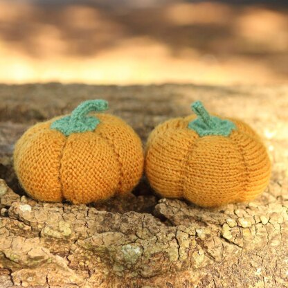 Autumn Means Pumpkins