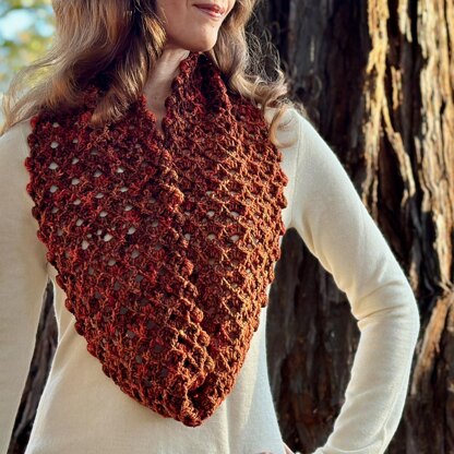 Ginger Cinnamon Cowl