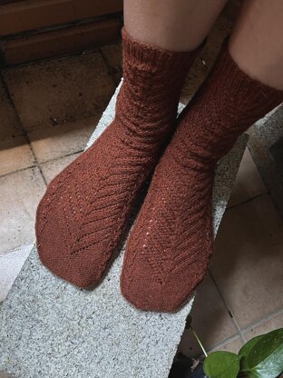 The Pine Socks 二葉松