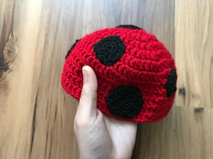 Lady Bug baby Outfit