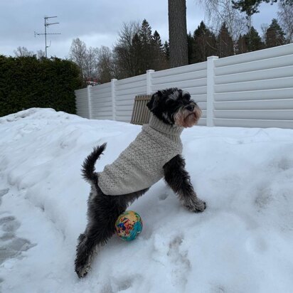 Inka dog sweater - knitting pattern