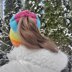 Rainbow Ponytail Beanie