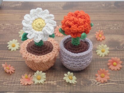 Daisy & Marigold in a Flower Pot