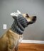 Triceratops Dog Snood