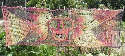 Heaven Sent an Angel Winged Skull Shawl