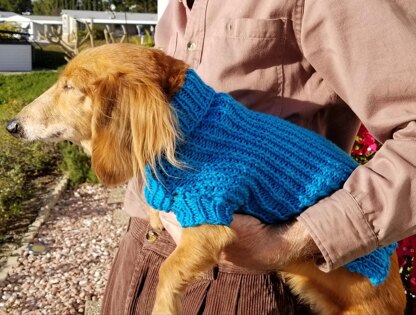 Twisted Rib Mini Doxie Sweater