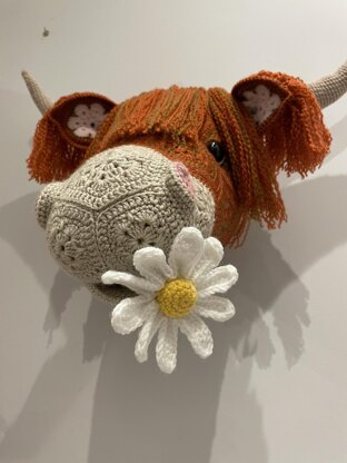Heather the African flower highland cow head