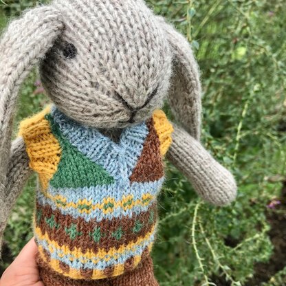 Bunny with Cozy Outfits