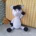 Zinnie the Baby Zebra