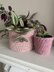 Easy Crochet Plant Pot/ Basket