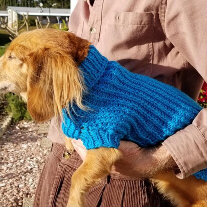 Twisted Rib Mini Doxie Sweater - knitting pattern