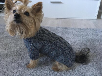 Slate Dog Sweater