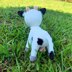 Cow Erna