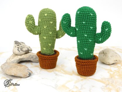 Desert Cactus