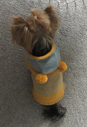 Hooded Sweater for Dogs