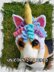 Unicorn Dog or Cat Hood