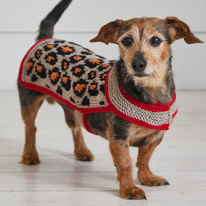 Leopard Pooch - Dog Coat Knitting Pattern For Pets in Debbie Bliss Rialto Aran by Debbie Bliss