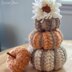 Rustic Pumpkin 3 Sizes