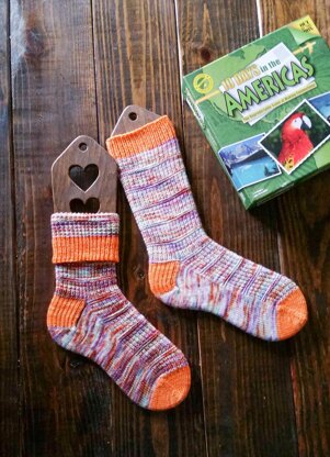 Book Stash Socks