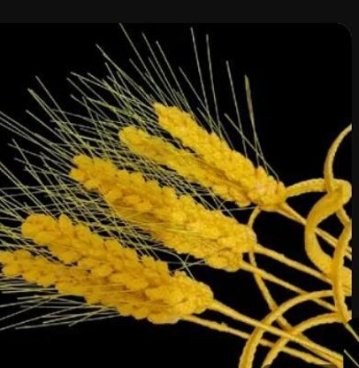 Crochet Wheat plant