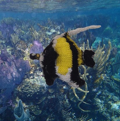 Pacific reef fish (and bonus corals)