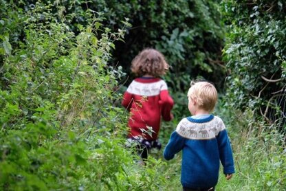 Reindeer Jumper for Children in Sport or DK